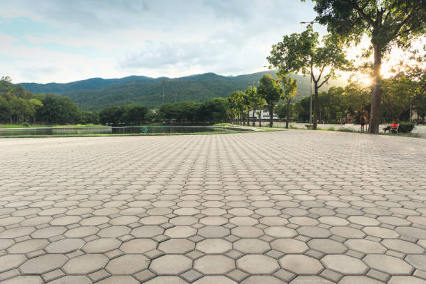 Best Residential Paver Driveway  in Primera, TX
